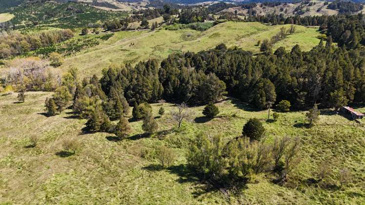 46 Buchanan Road Broadwood_3