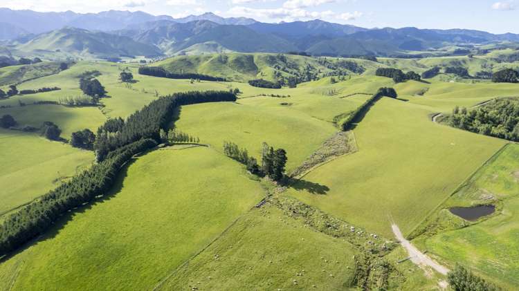 188 Burnetts Road Kaituna_15