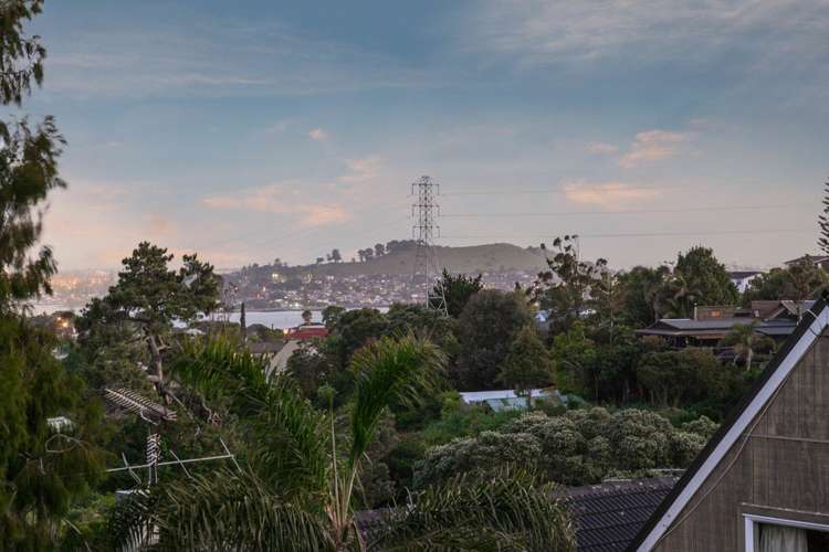 21 Hendry Avenue Hillsborough_16