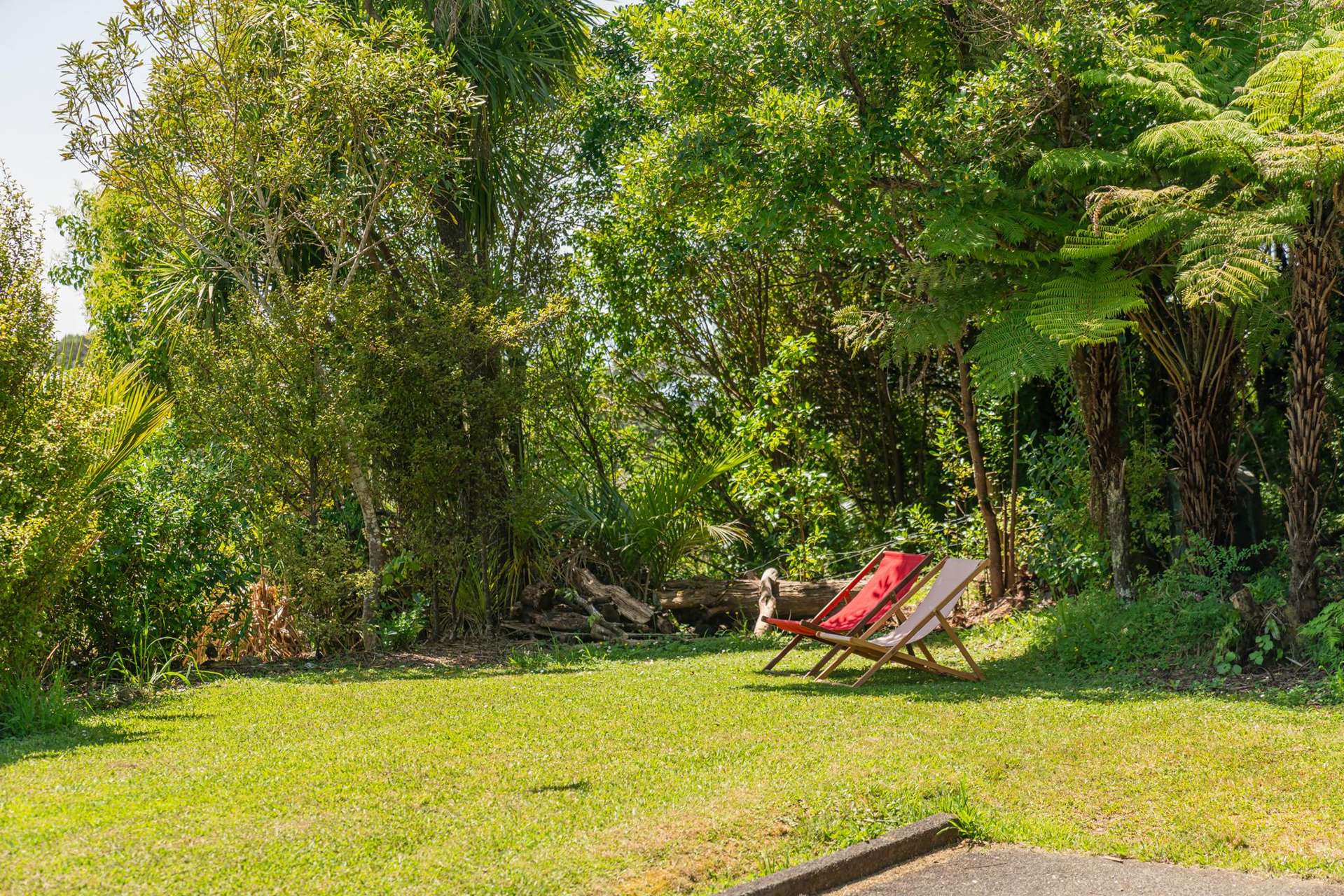 1163 Purangi Road Ferry Landing_0