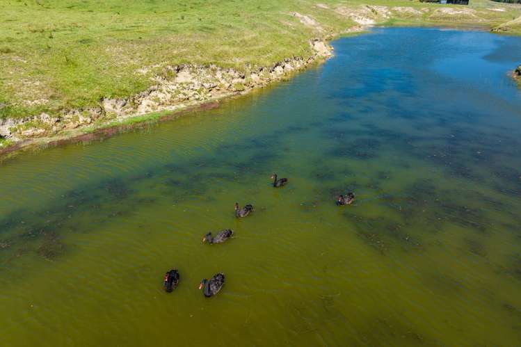 363 Caseys Road Blind River_5