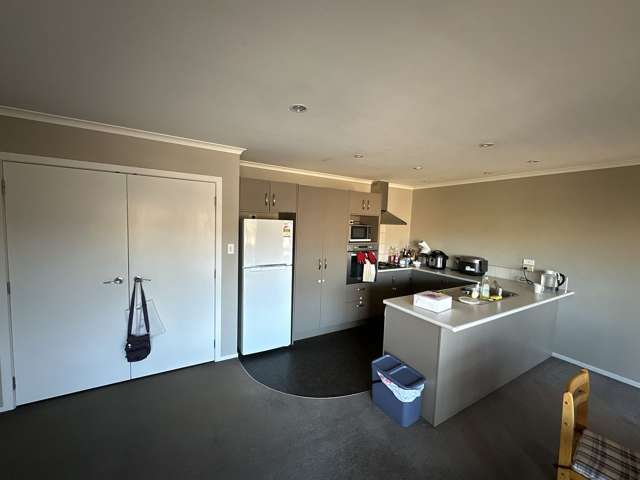 96B Clyde Street Hamilton East_1