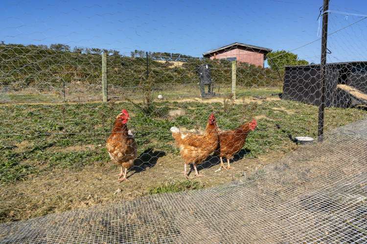 92 Tiro Kina Road Tasman_37