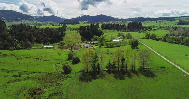 557 Tadmor-Bushend Road Tapawera_3