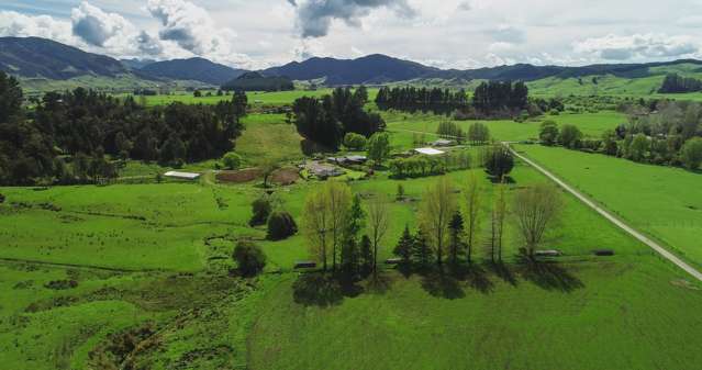 557 Tadmor-Bushend Road Tapawera_3