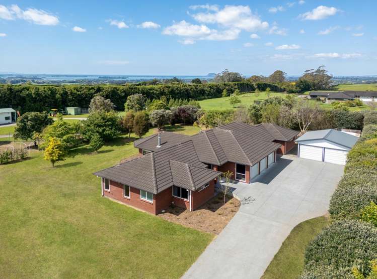 407 Youngson Road Whakamarama_29