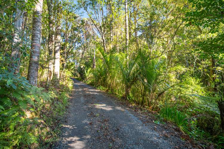 341 Kanohi Road Kaukapakapa_23