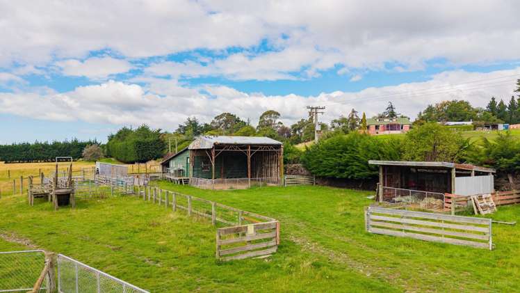 203 Maytown Road Waimate_16