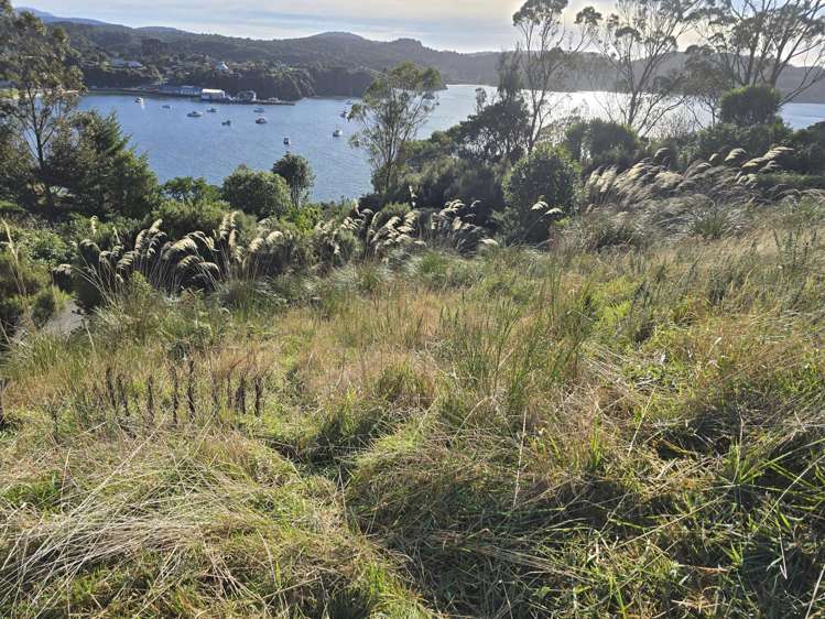 23 Petersons Hill Road Stewart Island_6