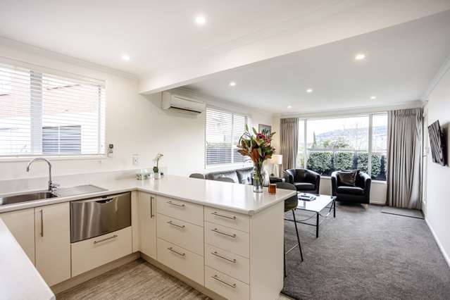 6A Hereford Street Roslyn_2