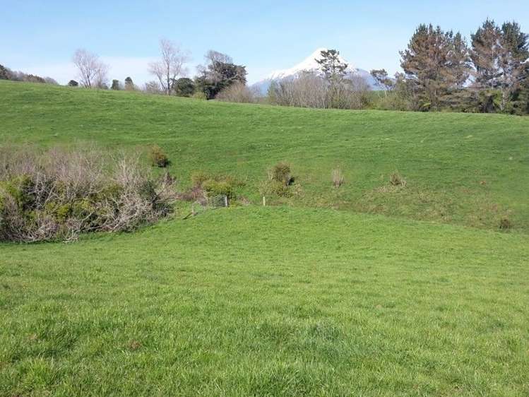 346 Rugby Road Tariki_61