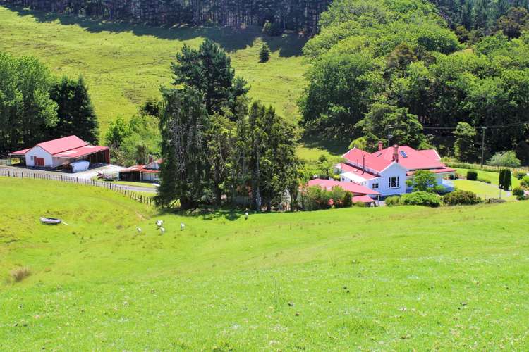 121 Krippner Road Puhoi_19