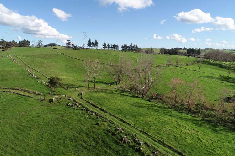 917 Port Albert Road Wellsford_22