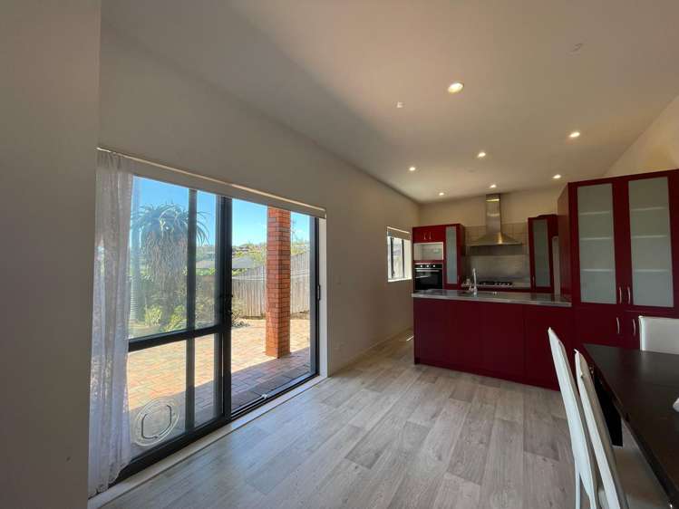 509A Hillsborough Road Mount Roskill_13