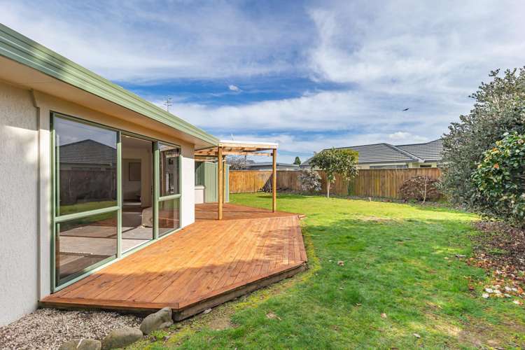 13 Homewood Avenue Levin_13