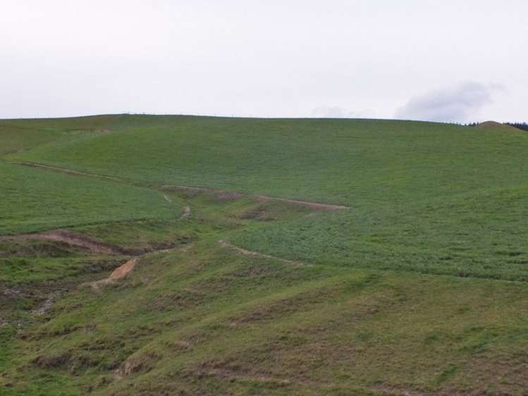 1006 Glenmark Drive Waipara_22