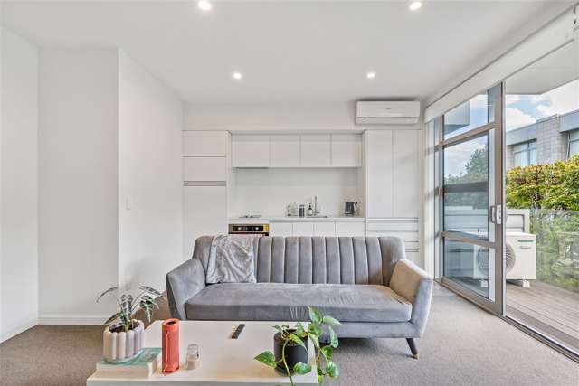 369 Murphys Road Flat Bush_2