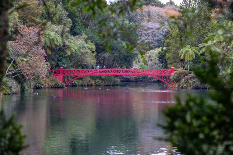 5 Saddle Row Welbourn_29