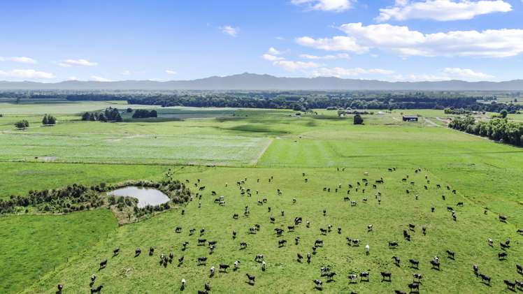 325 Taukoro Road Morrinsville_3