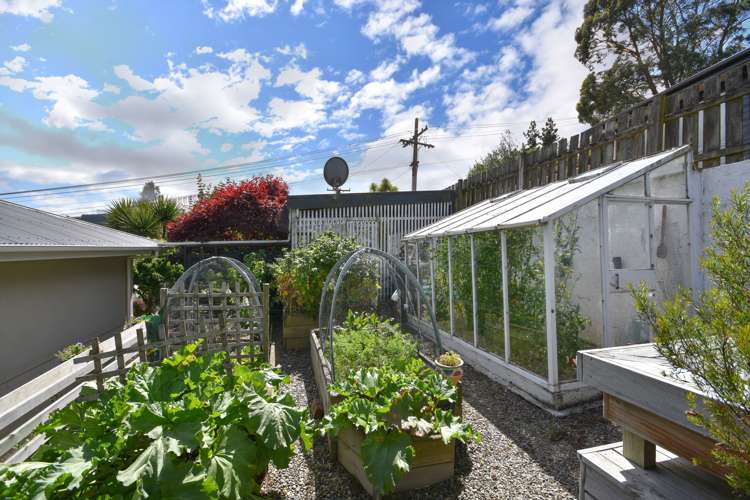 1 Shanks Street Green Island_12