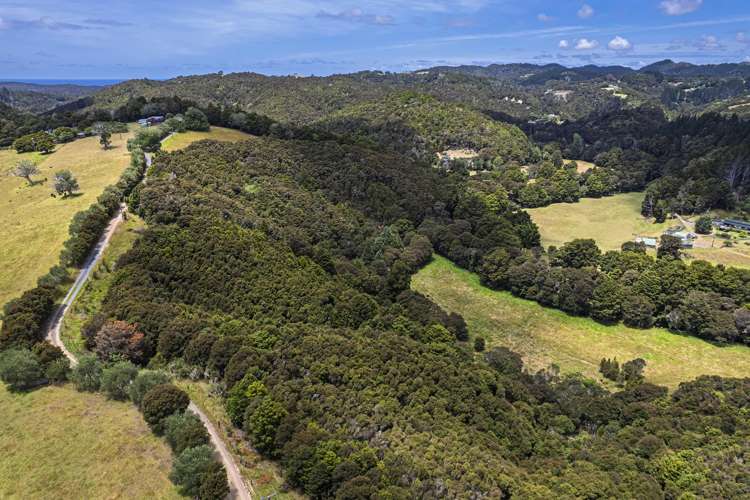 726d Ngunguru Ford Road Kiripaka_37