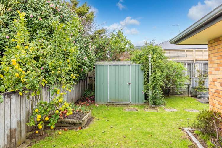 896 Alexandra Street Te Awamutu_24