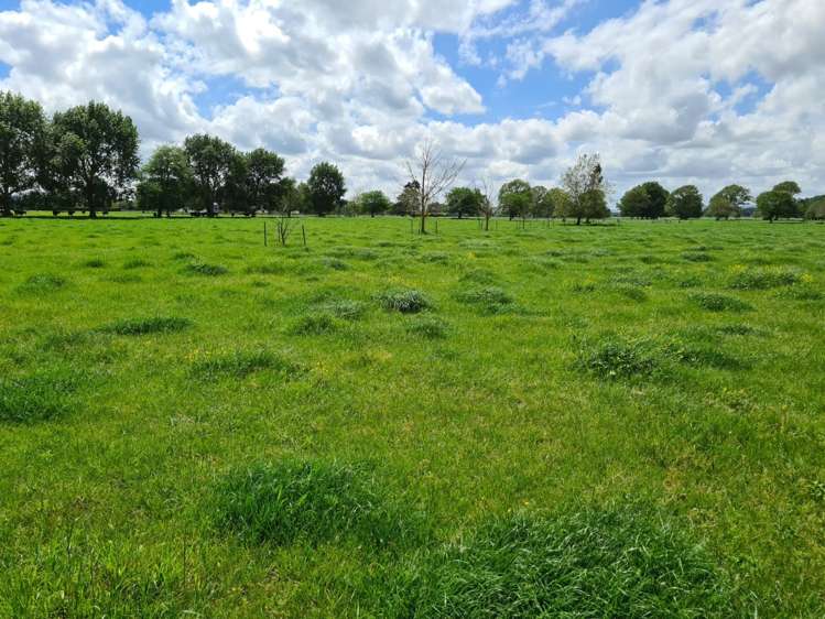 139 Taylor Road Gordonton_20