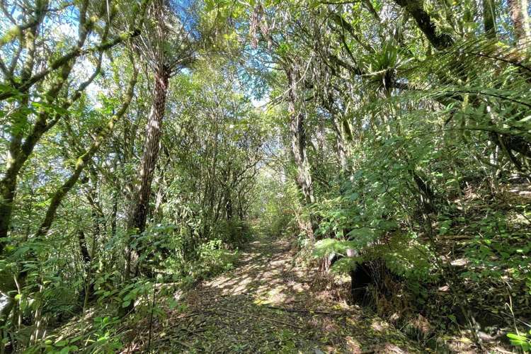 85 Te Raumauku Road Otorohanga_44