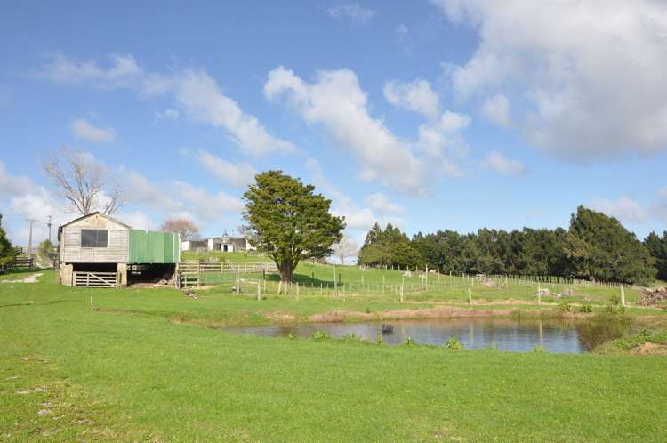 274 Partridge Road Wellsford_10