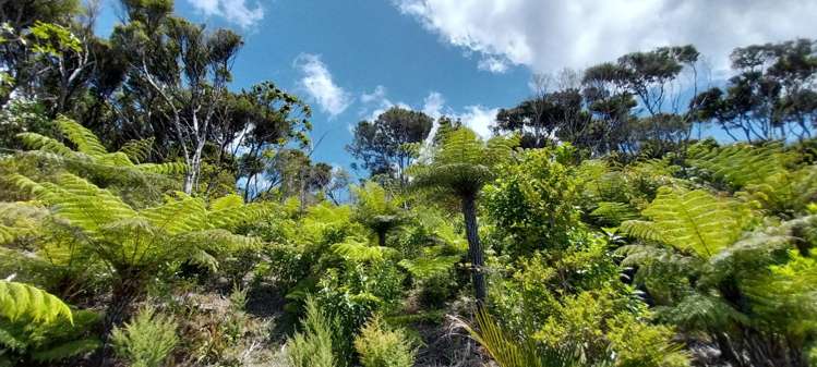 525A Tuateawa Road Tuateawa_24