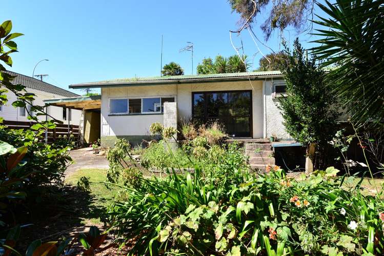 86 Ellicott Road Nawton_8