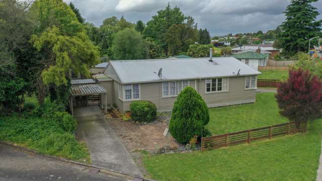 2/157 Arapuni Street Putaruru_2