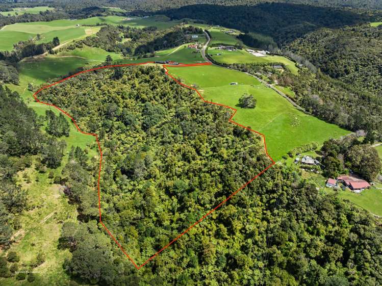 677 Work Road Whakamarama_36