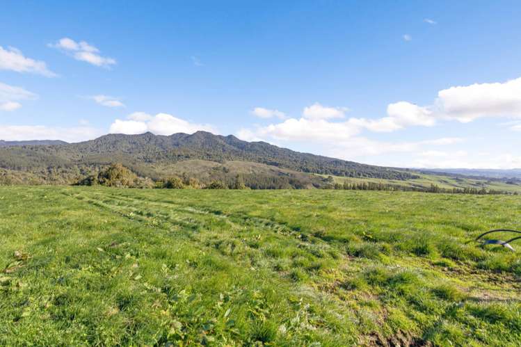 2/471 Sainsbury Road Pirongia_10