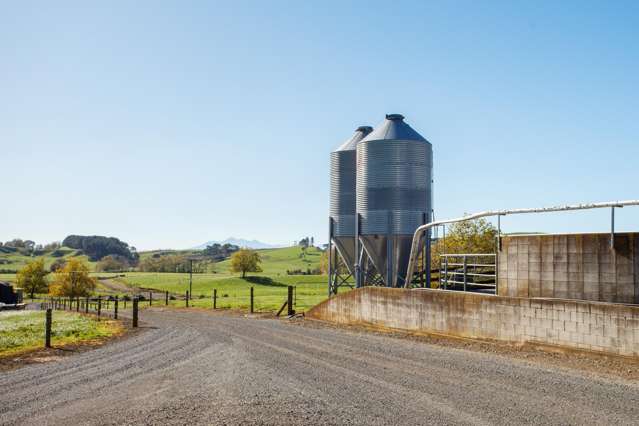 Scale meets opportunity