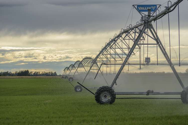 337 Reynolds Road Methven_9