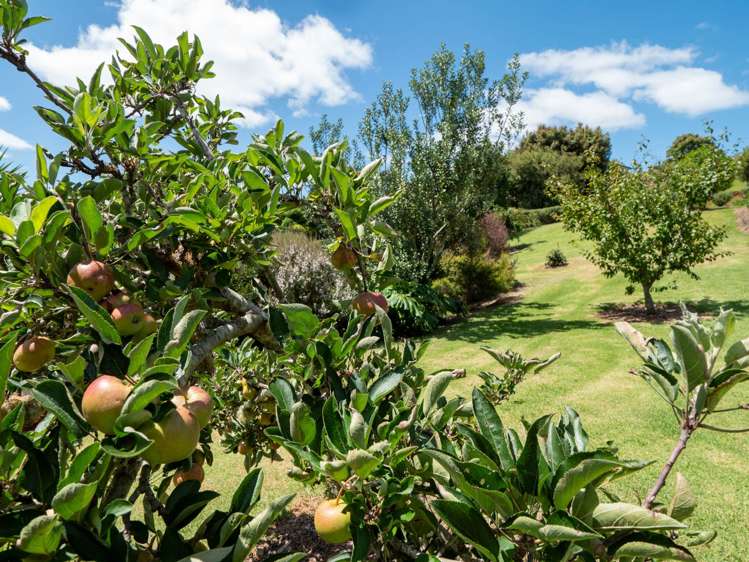 2 Newton  Watts Drive Kerikeri_9