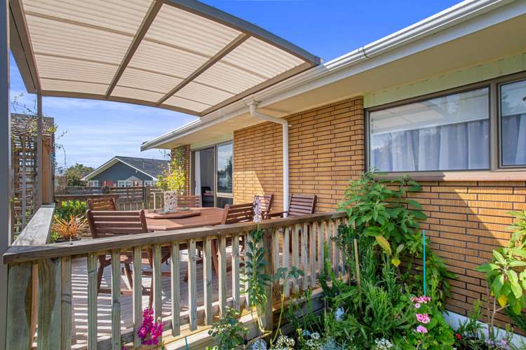 22a Tui Place Katikati_2