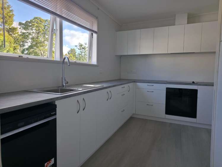 13 Terry Street 1644_5