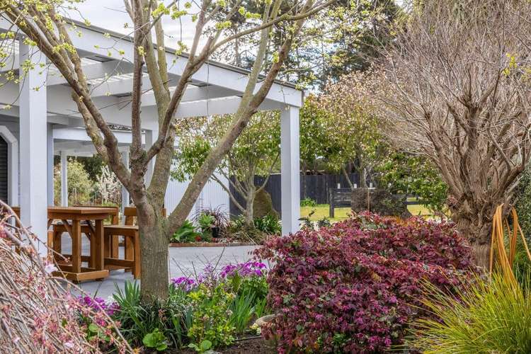 21 Glenn Street Castlecliff_6