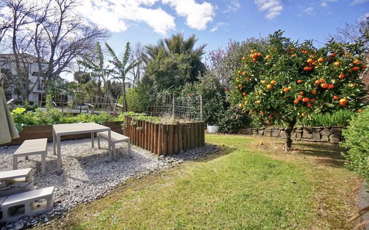 2 Cooney Place Te Puke_3