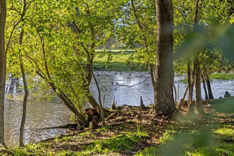 584 Orari Station Road Geraldine_37