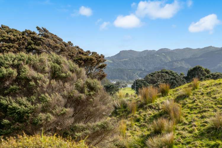 18 Mangatawhiri Road Omaha_11