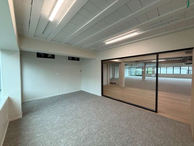 11-13 Falcon Street Parnell_5