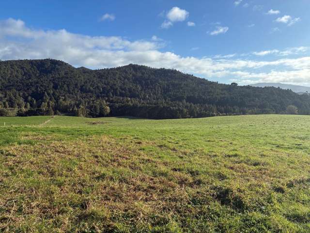 Milne Road Purua_1
