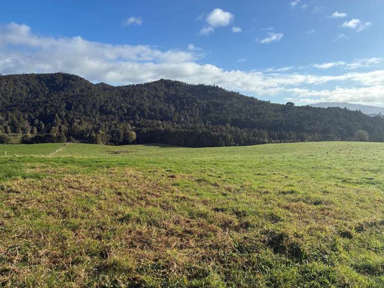 Milne Road Purua_1