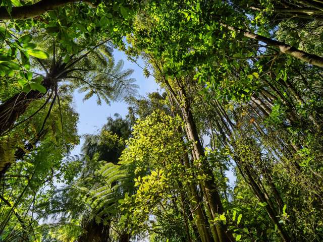 Lot 3 6A Waiata Road Te Puna_2