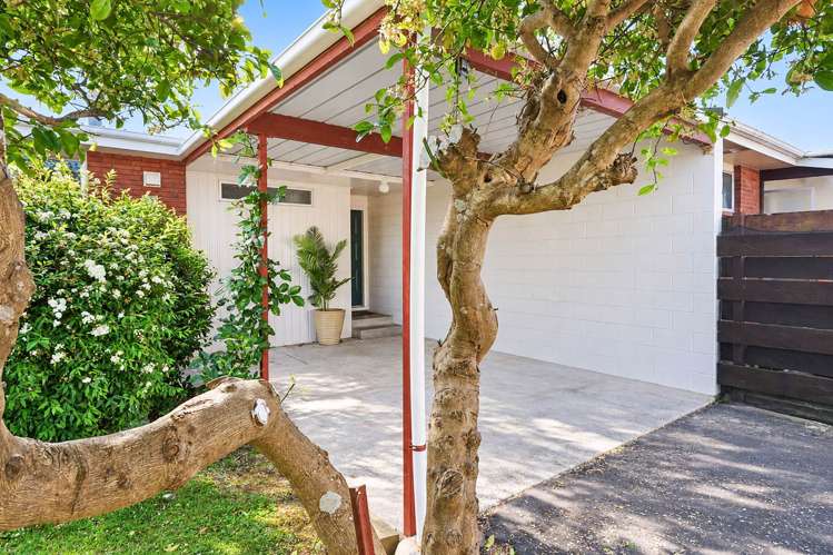 26 Cedar Grove Matua_15