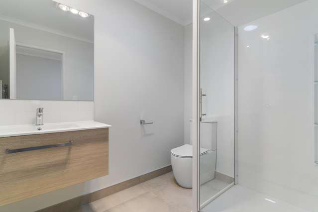 492 Richardson Road Mt Roskill_2