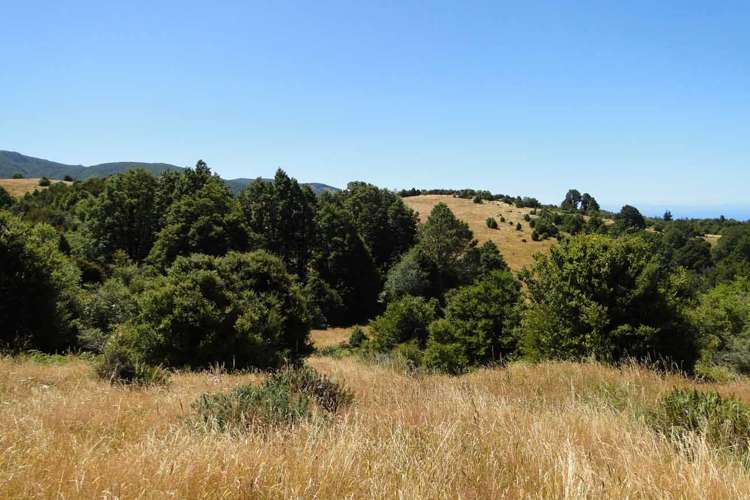 135 Canaan Road Kahurangi National Park_15